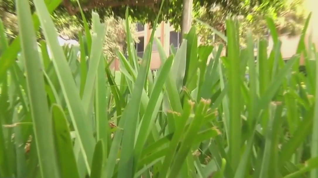 Summer fertilizer bans go into effect